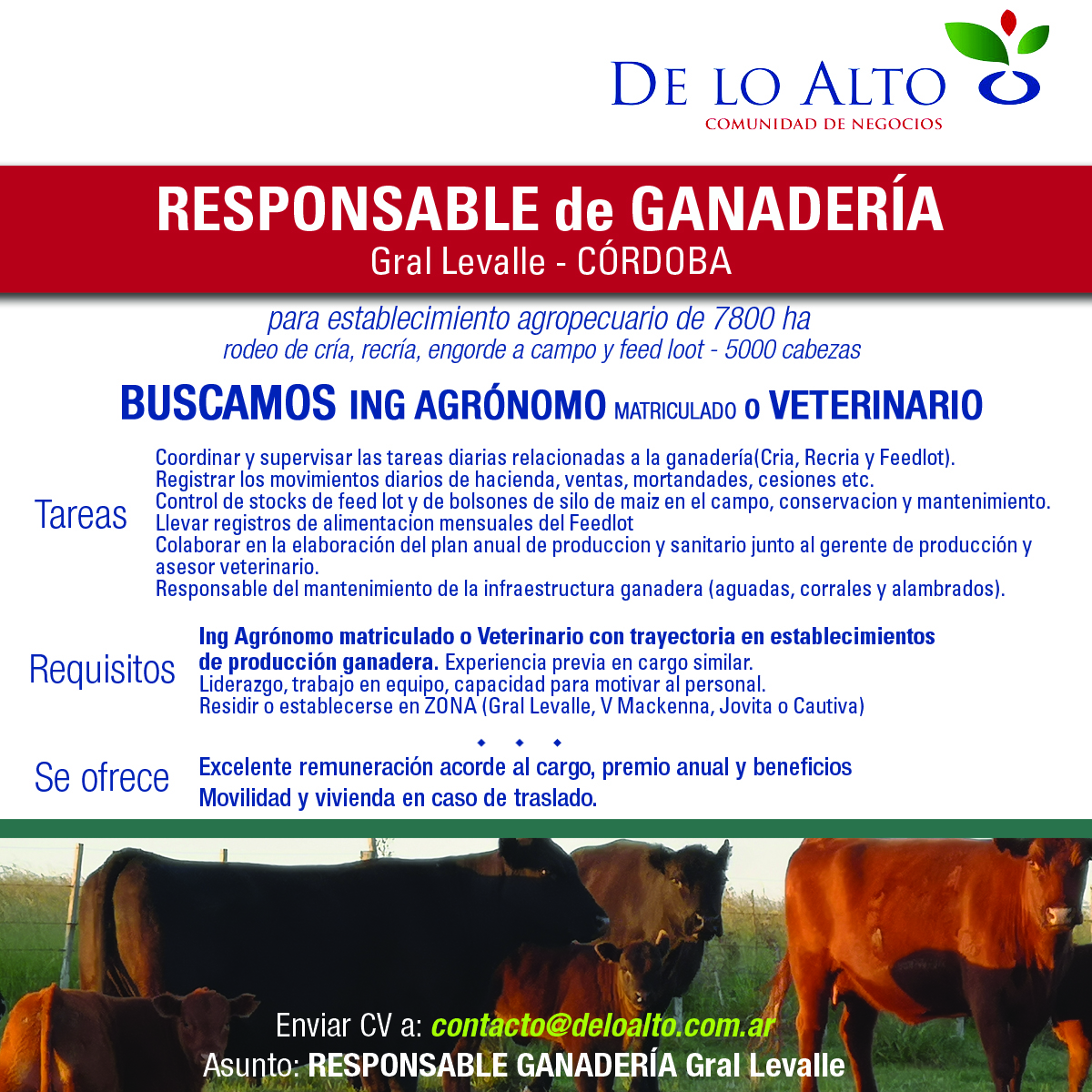 Responsable de Ganadería